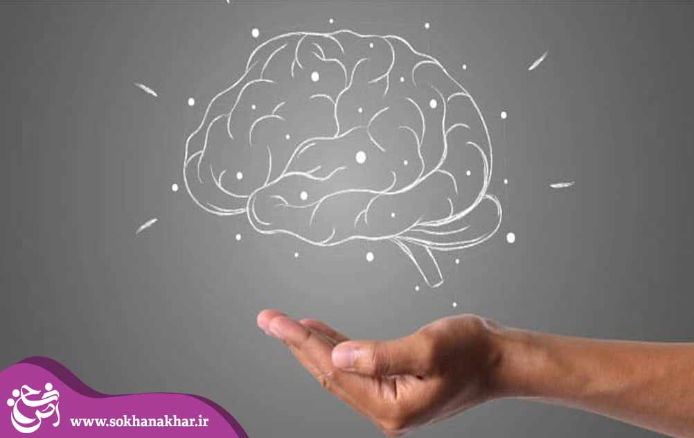 سبک های یادگیری شناختی